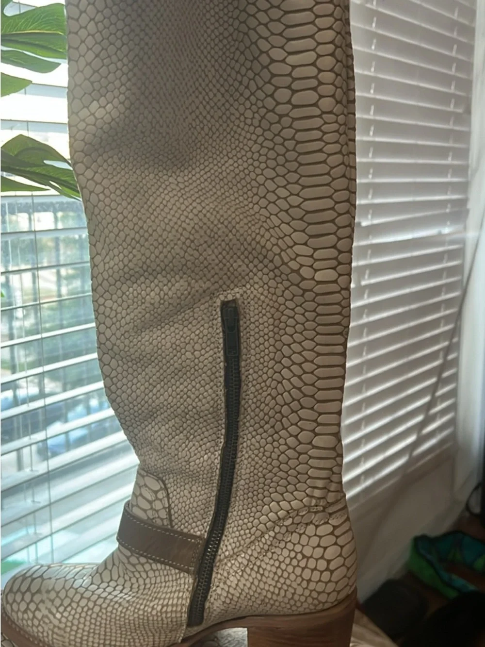 Freebird by Steven Cream Snakeskin-Textured Over-the-Knee Boots with Brown Strap